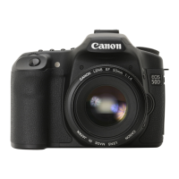 Preview: Canon EOS 50D