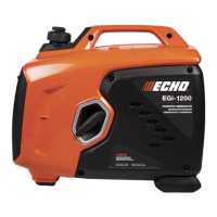 Preview: Echo EGi-1200