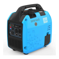 Preview: SereneLife SLIGEN2200