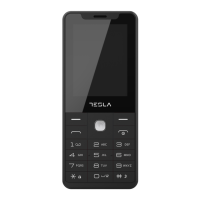 Preview: Tesla FEATURE 3.1