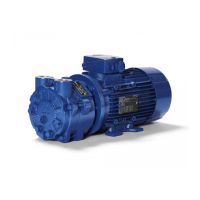 Preview: Speck pumpen V 30