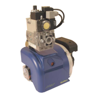 Preview: Ecoflam Max Gas 70 P AB