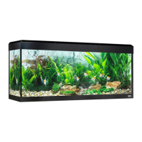 Preview: Fluval Roma Aquarium LED