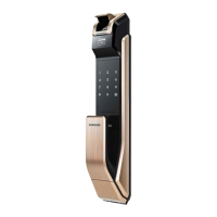 Preview: Samsung SHS-P910