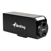 Preview: birddog PF120