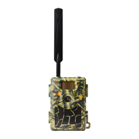 Preview: Barn Owl RangeCam Mini