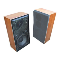 Preview: Bang & Olufsen Beovox S35