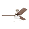 Fan Logo
