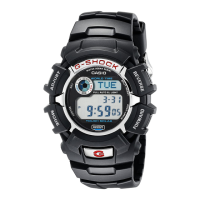 Preview: Casio G2310R-1