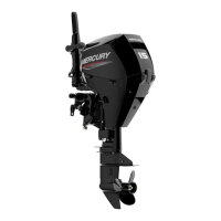 Preview: Mercury 15 EFI FourStroke