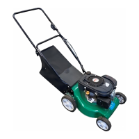 Preview: Briggs & Stratton TIGER