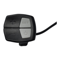 Preview: BIGSTONE C800-TFT