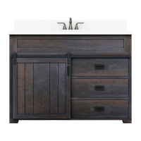 Preview: Barn Door Vanity WSL48BHV