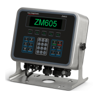 Preview: Avery Weigh-Tronix ZM605