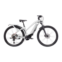 Preview: Bianchi E-OMNIA C City Lady