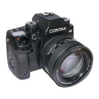 Preview: Contax N1