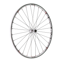 Preview: DT SWISS TRICON RR1450