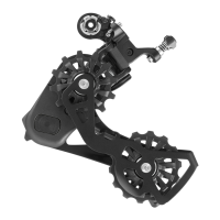 Preview: CAMPAGNOLO Ekar RD21