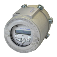 Preview: Panametrics DigitalFlow XGF868i