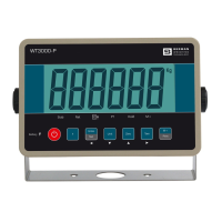 Preview: WeighTech WT3000-P