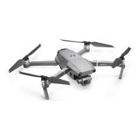 Preview: dji Mavic 2