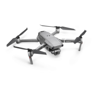Preview: dji Mavic 2