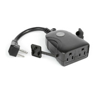 Preview: Feit Electric PLUG/WIFI/WP