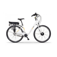 Preview: Ecobike Basic