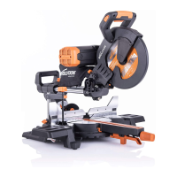 Preview: Evolution R255SMS-DB