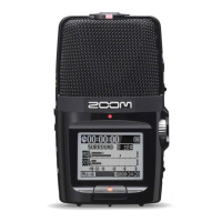 Preview: Zoom H2N