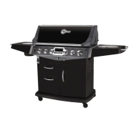 Preview: Fiesta BLUE EMBER GRILLS iQue