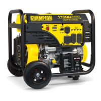 Preview: Champion Power Equipment 100110