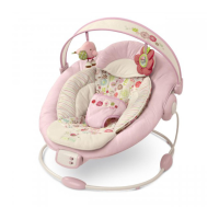 Preview: Bright Starts Comfort & Harmony 6926