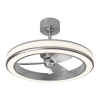 Fan Logo