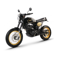 Preview: Bullit HERO 250 2021