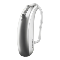 Preview: Phonak Roger Focus II-312