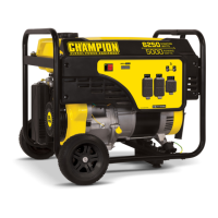 Preview: Champion 100496