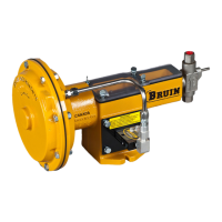 Preview: Bruin Pumps BR5100