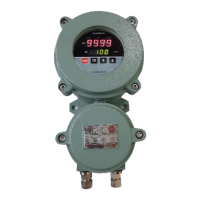 Preview: Masibus LC5296-XP