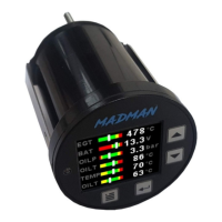 Preview: MadMan EMS-3