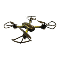 Preview: DF-models Sky Watcher FUN V2