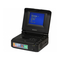 Preview: Sony GV-A500