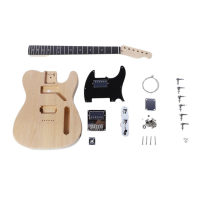 Preview: Artist Guitars TL DIY KIT