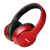 Preview: Toshiba RZE-BT166H