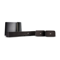 Preview: Polk Mono DSB3