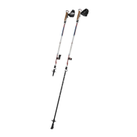 Preview: DELTA-SPORT Crivit NW-5733