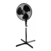 Fan Logo