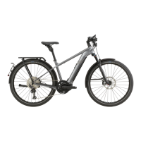 Preview: Cannondale Tesoro Neo X Speed