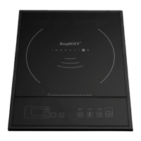 Preview: Berghoff TRONIC BHI 01SS