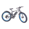 Bicycle Logo